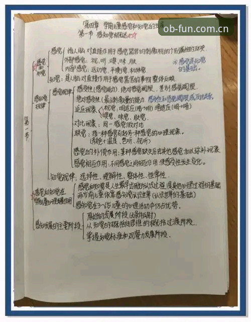 避开伤病迷雾，读懂三狮备战加纳的实用观察指南